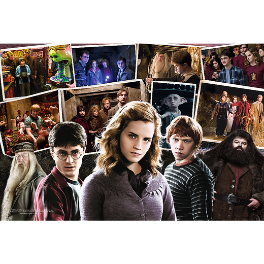Puzzle - 160 - Harry Potter i przyjaciele - Trefl 15418