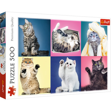 Puzzle - 500 - Kociaki - Trefl 37377
