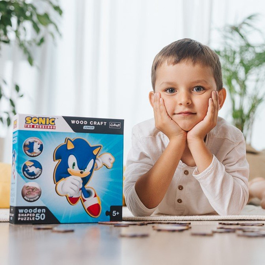 20203 "Wood Craft Junior 50 - Sprytny Sonic" / SEGA Sonic The Hedgehog FSC Mix 70% 20203