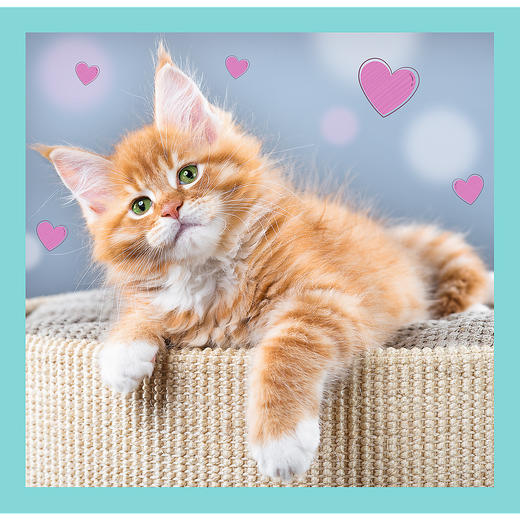 Puzzle - 3w1 (20, 36, 50) - Słodkie zwierzaki - Trefl 34862