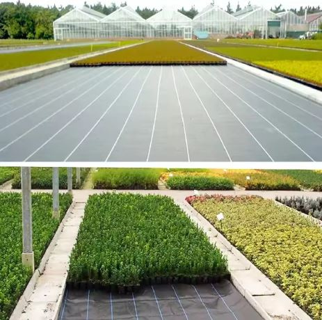 Agrotkanina Czarna 100 cm x50m UV 70g Antychwastowa Agrowłóknina  + Kotwy