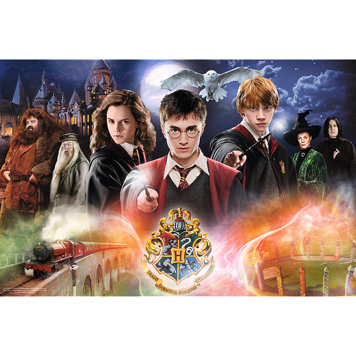 Puzzle - 300 - Harry Potter - Tajemniczy Harry Potter - Trefl 23001