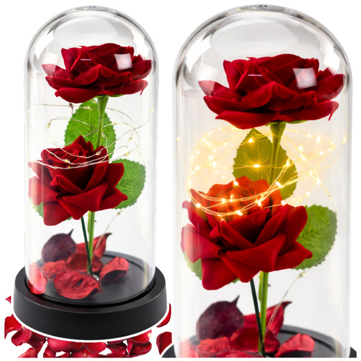 Wieczne 2 Róże w Kopule z Oświetleniem LED i Płatkami Róż Czerwone 21x11cm 