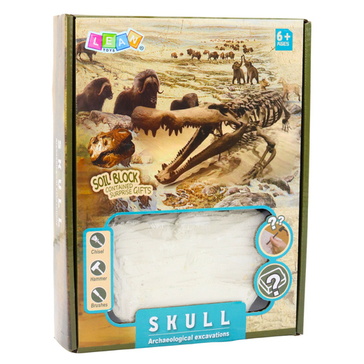 Zestaw Archeologiczny Wykopaliska Czaszek Kości Narzędzia Akcesoria 