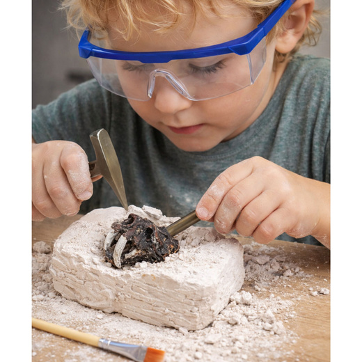 Zestaw Archeologiczny Wykopaliska Czaszek Kości Narzędzia Akcesoria 