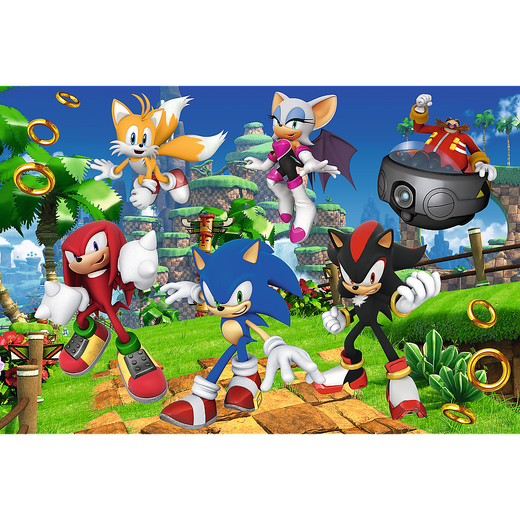 Puzzle - 160 - Sonic i przyjaciele Trefl 15421