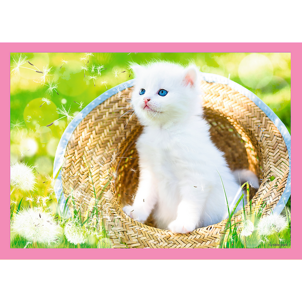 Puzzle - 4w1 (35, 48, 54, 70) - Zabawne kotki - Trefl 34396