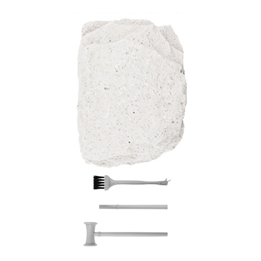 Zestaw Archeologiczny Wykopaliska Fluorescencyjny Szkielet Narzędzia