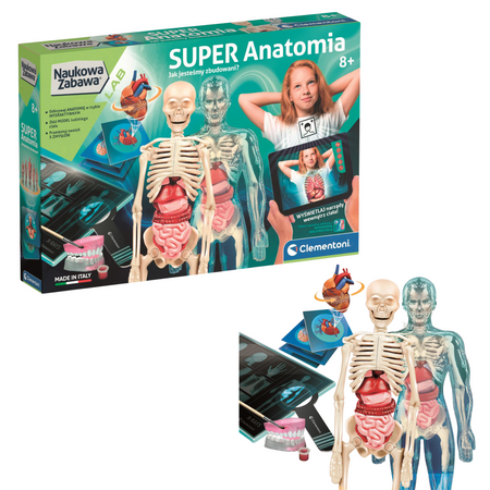 Naukowa Zabawa Super Anatomia Język Polski Clementoni 50919